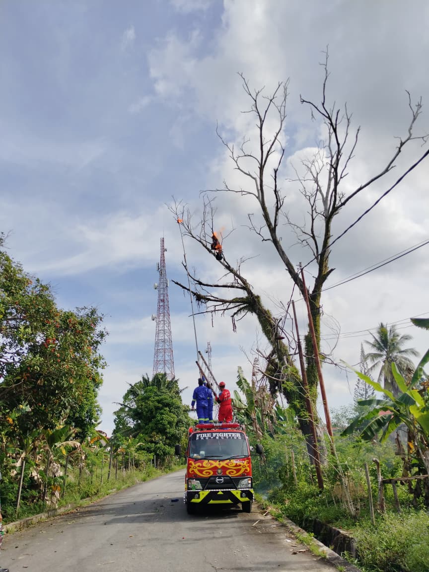 BERITA GAMBAR SIMPATIK
